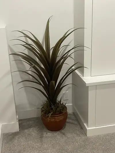 Selling a faux plant in a pot. Measurements included pictures, making it a nice statement piece for...