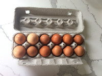Farm fresh Brown Eggs