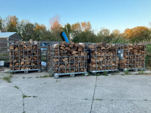 Firewood For Sale in Fireplace & Firewood in Owen Sound - Image 6