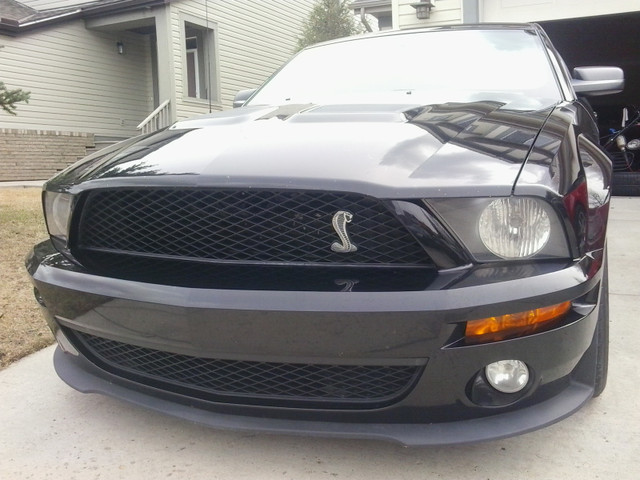 2008  Shelby GT500 - $40,211 +gst  Supercharged V8  61,000 miles in Cars & Trucks in Calgary