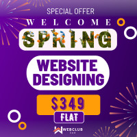 $349 Website Design | WordPress Shopify development Web designer