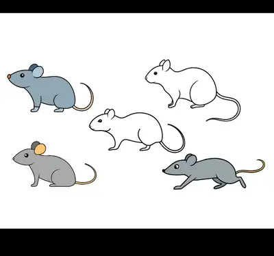 mice for sale, View more