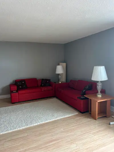 Fully furnished 2 bedroom spacious condo for rent