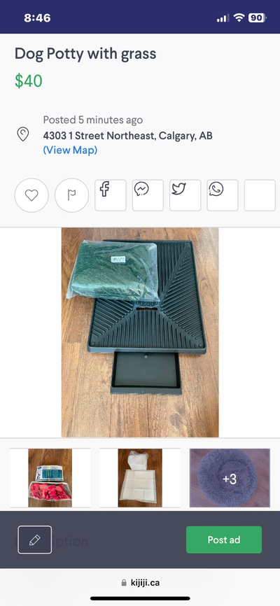 DOG TRAINING POTTY TRAY, View more