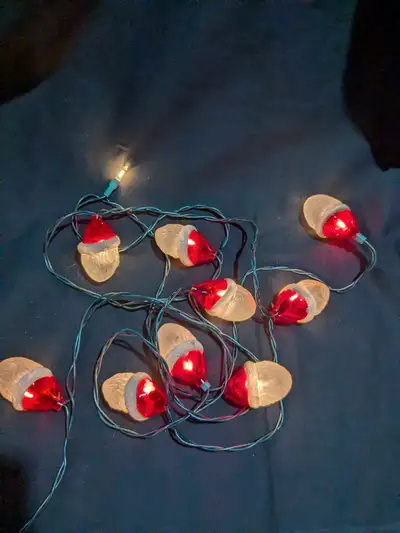  Santa Heads String Light Set Works *Read, View more