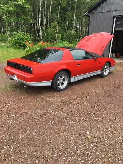 1986 trans am firebird 355 world product heads Crane cam 480-500 lift Edelbrock preformer intake Hol...