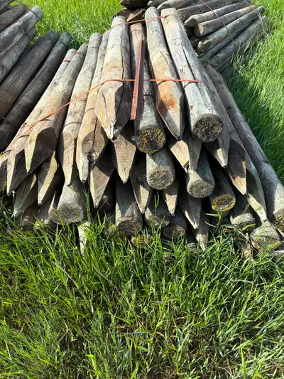 Pressure Treated 5-6x 7' Pointed Post, View more