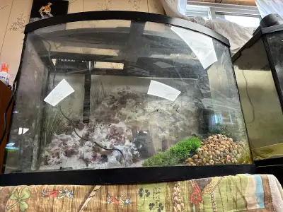 36 Gallon bow front fish tank and stand, View more