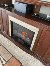 Heavy  Electric fireplace real wood 