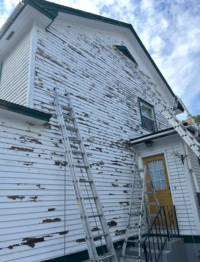interior exterior painting /plaster569242544841041925