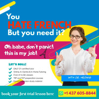 Learn French with an expert