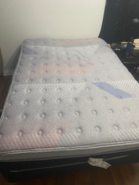 Full sized Serta mattress