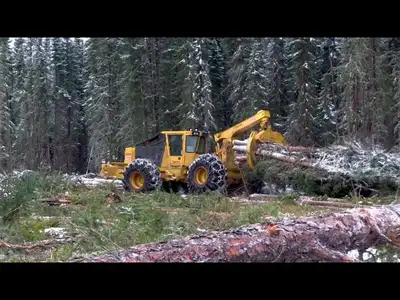 I am looking for a full time skidder operator. The hours of operation are: 6:00am to 6:00pm Monday t...