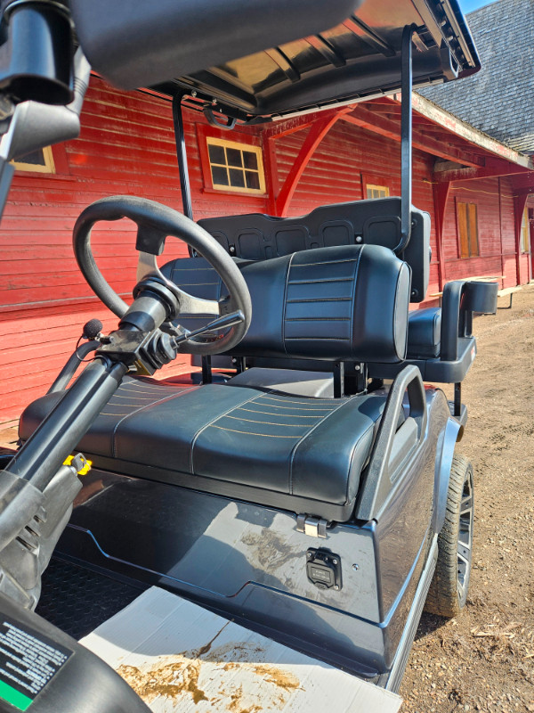 2024 Classic 4 Plus Electric Lithiu Golf Cart and Street Machine in Golf in Saskatoon