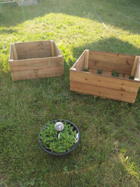 Boîtes pour semer vos plants de légume fine herbe ou fleurs