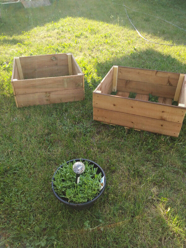 Boîtes pour semer vos plants de légume fine herbe ou fleurs dans Autre  à Ville de Québec