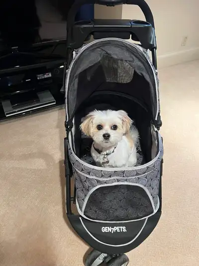 Pet Stroller Gen7Pets, View more