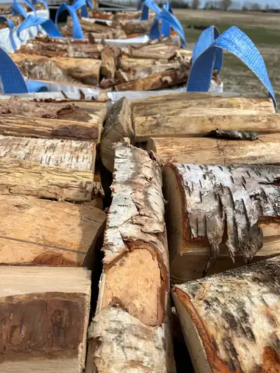 YELLOW BIRCH Firewood , View more