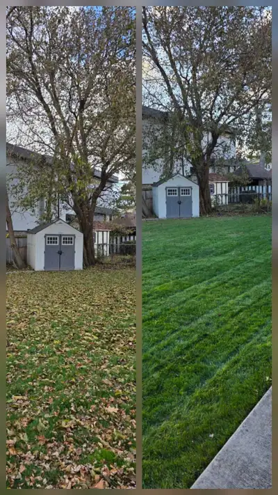 Fall Clean-Up | Final Lawn Mow | Fertilizer, View more