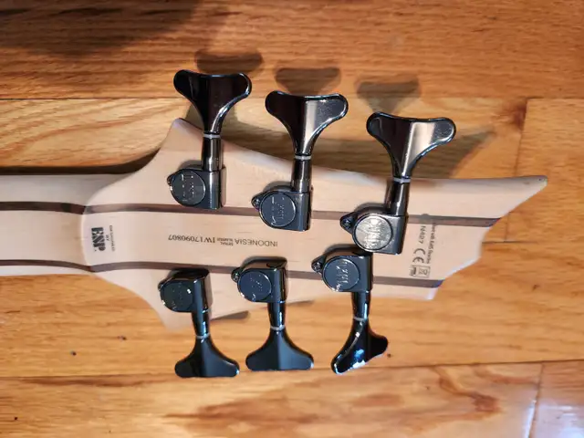 ESP LTD B-206SM 6 String Electric Bass! W/Gigbag! FREE SHIPPING! in Guitars in Calgary - Image 10