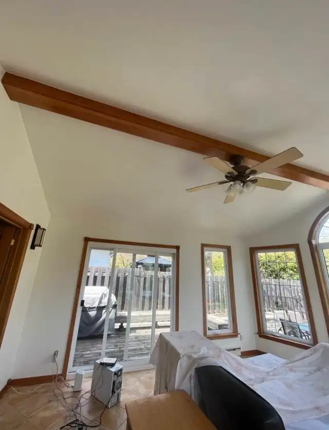 PRO PAINTER OTTAWA! 613-262-372163234805381507124