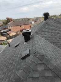 Professional Roofing repair Flat roofing 