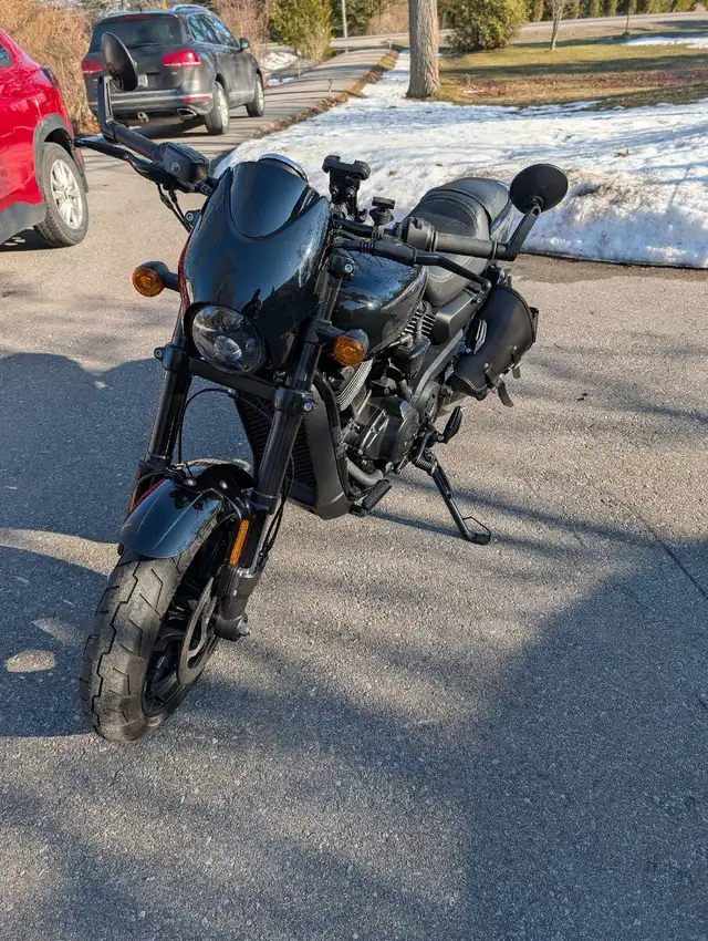 Harley Davidson Street rod 750 in Street, Cruisers & Choppers in Oshawa / Durham Region - Image 3