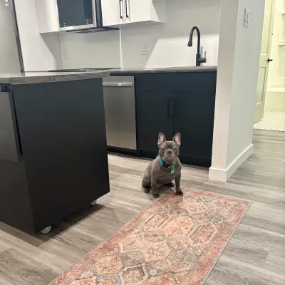 Dog & Cat Friendly | Your Very Own Private Enclosed Bqckyard! ALL INCLUSIVE, all bills are covered i...