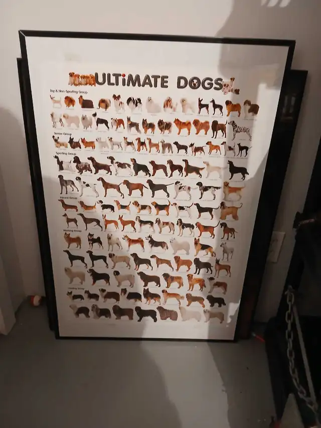 Framed Dog Poster  III in Accessories in Calgary - Image 2
