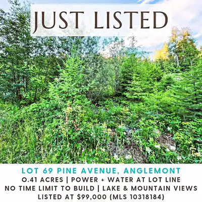 NEW LISTING (MLS 10318184) LOT 69 Pine Avenue, Anglemont Enjoy the serenity this large lake and moun...