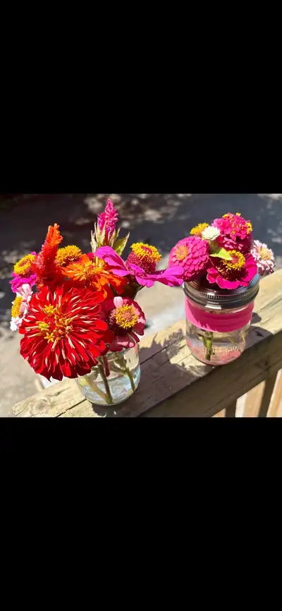 ZINNIA BUD VASE BOUQUETS, View more