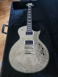 Guitare ESP 2013 Silver Sparkle