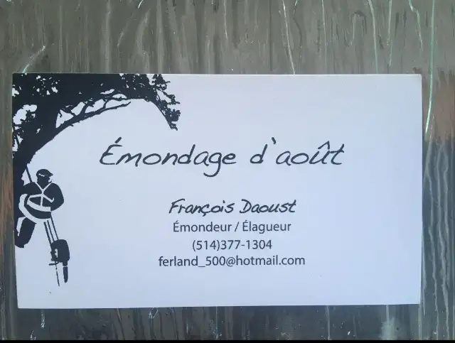 Pruning and Tree Trimming595971078452029449