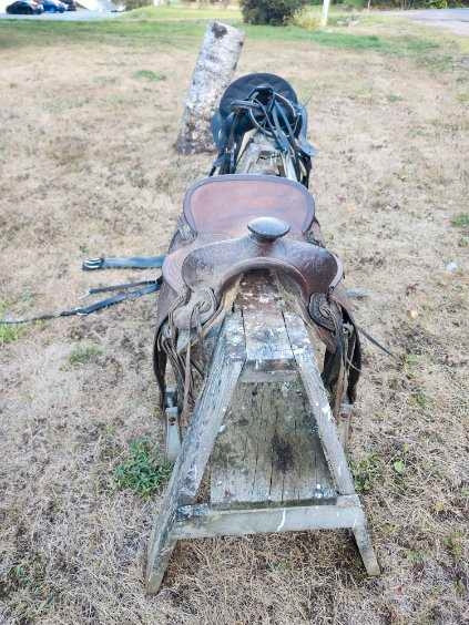 Pony saddle in Equestrian & Livestock Accessories in Bridgewater - Image 2