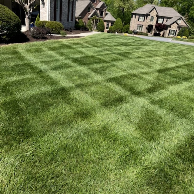 Oshawa Lawn care 30$ 2893559712 - Oshawa / Durham Region in Lawn, Tree Maintenance & Eavestrough in Oshawa / Durham Region - Image 4