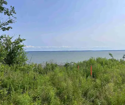 Treed lot for sale on the Gloosecap Trail in Upper Economy. Beautiful views over looking the New Min...