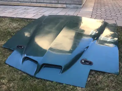 Selling a third gen custom Pontiac Firebird fiberglass cowl hood. Will fit ‘82-‘92 birds. Asking $47...