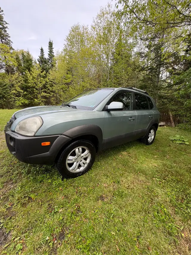 2007 Hyundai 515801535658731522