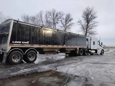 40' long, 96" wide, It's currently being used to haul grain to and from the US, message for more inf...