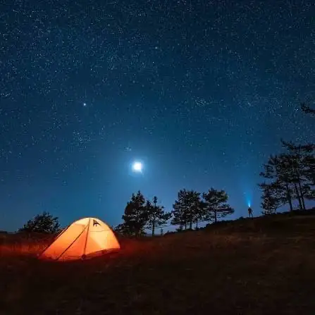 In search of an adventurous friend 