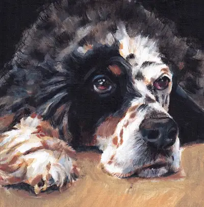 Hand painted oil portraits of your pet, View more