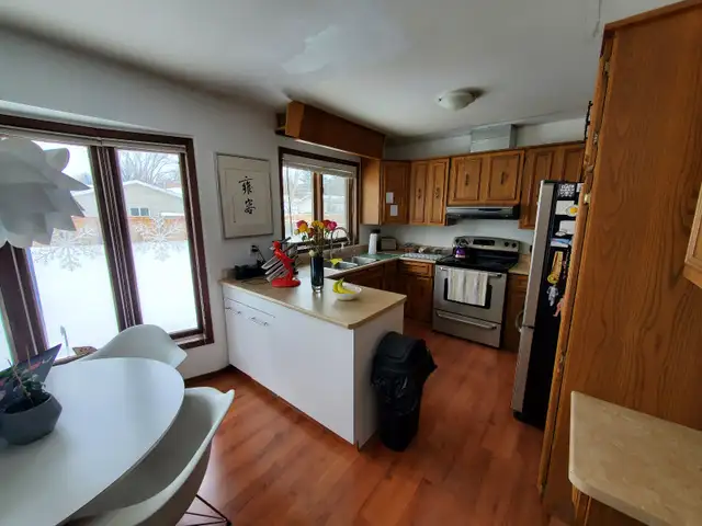 Photo 5