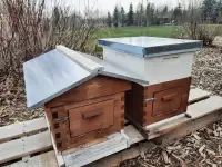 Beehive Starter Kit