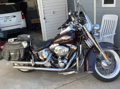 HARLEY DAVIDSON DELUXE 2005 Leather Jacket, 2 Helmets, 2 Pairs Gloves, 1 Pair Chaps, Leather vest, R...