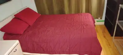 Belle grand chambre à louer à Montréal Belle grande chambre avec réfrigérateur tout inclus. Lit king...