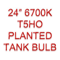 24” T5HO 6700K FLUORESCENT REPLACEMENT TUBE – AQUARIUM – PLANTS