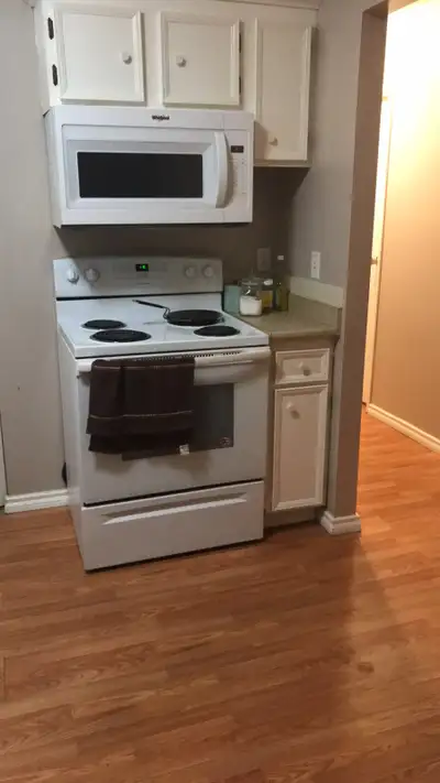 Female Roommate wanted