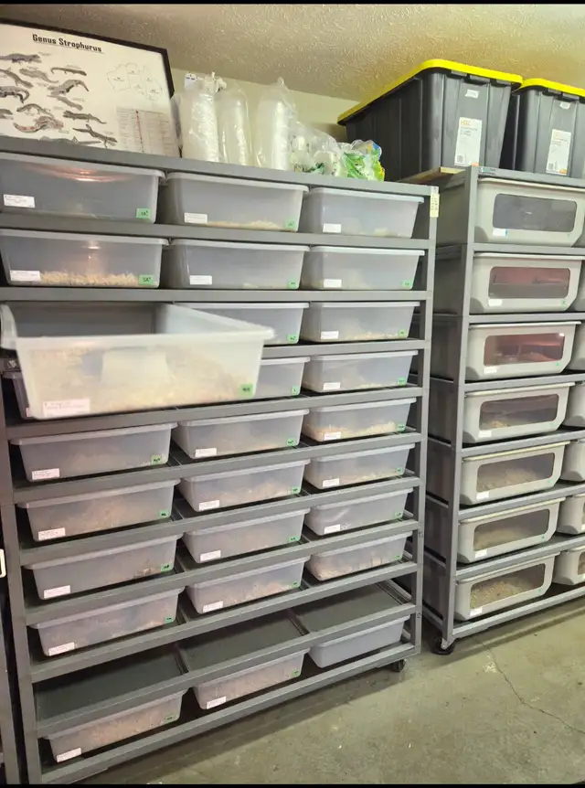 ARS 7030 Snake Rack in Accessories in Owen Sound - Image 3