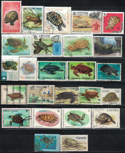 Turtle, Tortoise Stamps, 25 Different, View more