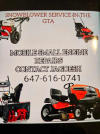Mobile small engines repairs, serving and maintenance 